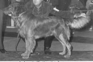 Indian Knoll's Kris Kringl