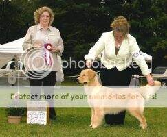 SunKissed True Light RA