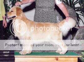 U-GCH Nalyn's Top Billing U-GCH Nalyn's Top Billing