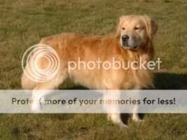 Comstock's Cool Cullen
