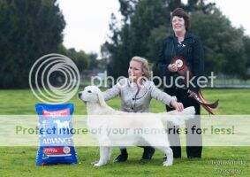 Aust CH Dewmist Silverling Aust CH Dewmist Silverling