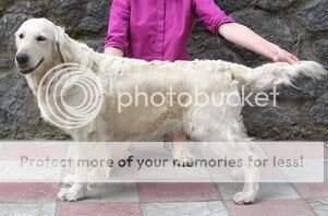 ANDANTE KLOZ ESTRELLA BLANKA ANDANTE KLOZ ESTRELLA BLANKA