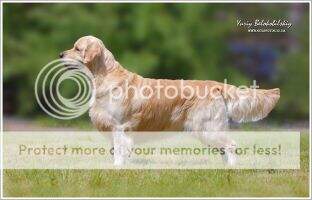 GrChUa Rus Mol ALMAZ LONG LIFE GrChUa Rus Mol ALMAZ LONG LIFE