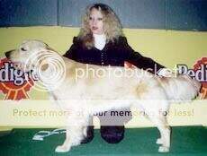 Bridzhit Golden Sheggy