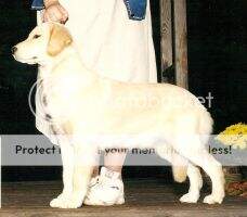 Crarae National Velvet