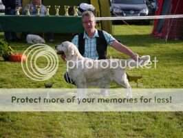 Sunbeam Gentle Enjoying Life Elyon VET CH, VET Europasieger 2015