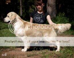 CH, UA/RUS/BUL/MOL/RO/EE/LT CH Baikal du Bois de la Rayere CH, UA/RUS/BUL/MOL/RO/EE/LT CH Baikal du Bois de la Rayere