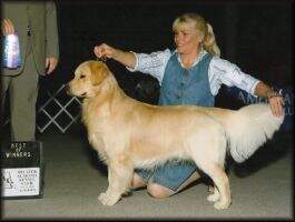 UKC CH Laurell's River of Dreams