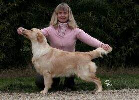 Double Willow Something's Coming Up