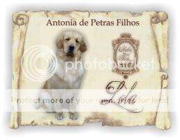 Antonia de Petras Filhos Antonia de Petras Filhos