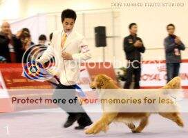 Multiple BIS-BISS Kor/ PRC CH Anorld Of Atlas Golden