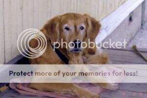 Riqueen Grace Super Retriever Riqueen Grace Super Retriever