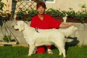 Annelie Dynasty Anah