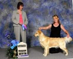 Mygolden's Pawlished Porphyry