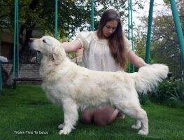 ChRom ChBul ChUkr ChBel Tramin Time To Dance