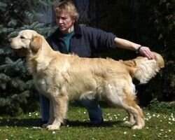 Bady Jeleni stopy Winner of Spec.show