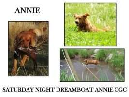 Saturday Night Dreamboat Annie RN Saturday Night Dreamboat Annie RN