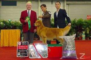 BISS. RBIS. Int.Asian.Th. Sg. Ch. Hytree's For All Time