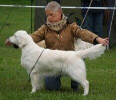 Ivory Blaze Days To Come