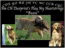 Dustprint's Play My Heartstrings GO CCA