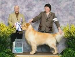 Gaelicgold Sonyc Finian
