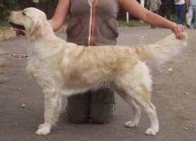 AKME HOLIDAY LOVISH SOUL