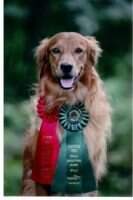 ARCHEX Blue Ribbon Great to be Golden CD-HCH; CDX-H CD; RA
