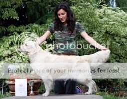 International Sh.Ch., Monaco Ch., Jr.Swiss Ch. Rizonhills Cashmere Hug