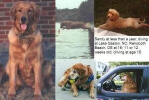 Rusty's Ocean Sands