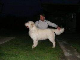 Union Jack Hippi Hunting Ability Test,Dummy Working Test