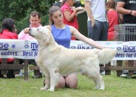 Ch. PL, SK PL Junior Ch. VALMONT Oligarchia