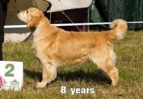 SK, PL, CZ, CZ Champion of work Kerry Chlupate stesti Dual purpose 2009