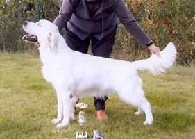 Cloudy Dream Team National winner
