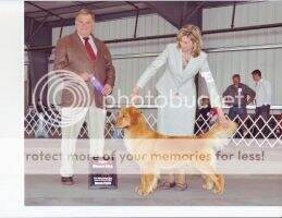 Ch. Dalane Hayden ClaireBear Ch. Dalane Hayden ClaireBear