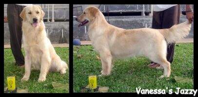 Vanessa's JAZZY