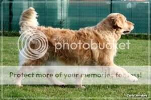Blondy (Meiga Tola) Blondy (Meiga Tola)