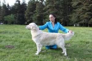 Ch.BG, Ch.MK, Ch.GE, Bulgarian Club Winner 2010 Dewmist Daisycharm