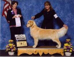 Ch. Pennylane Yankee Grand Finale BOSS