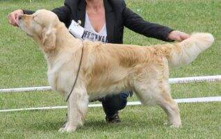 Beachcomber Billy Nederlands Veteranen Champ