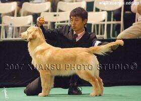 A.C. Dynasty WangJing QQ's Samsun