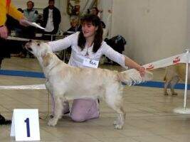 Honey Hradu Veveri Club Junior winner