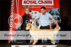 Ch.Gr.Br Ch.Gr.Pan Golden Freedom VII Doha Jumos Earth CH INTER
