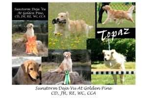 Sunstorm Deja Vu at Golden Pine CCA