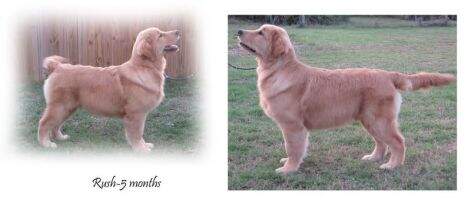 Circus' Priority Mail