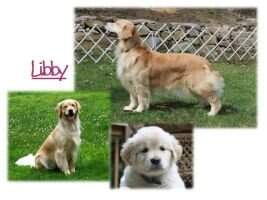 Mirasol Cayberry UnScentsored BN RA