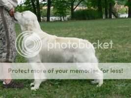 SK Bols Blue Vetcare Bohemia