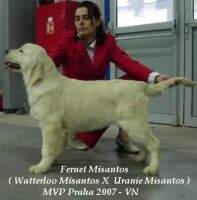 Fernet Misantos Res.CACIB, CAC