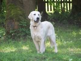 Abby Galle Shanti Navaro Abby Galle Shanti Navaro