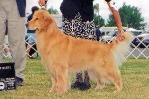 Ridgepond Lucky Bounce