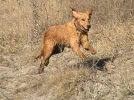 Molly Ray Of Adam Ranch